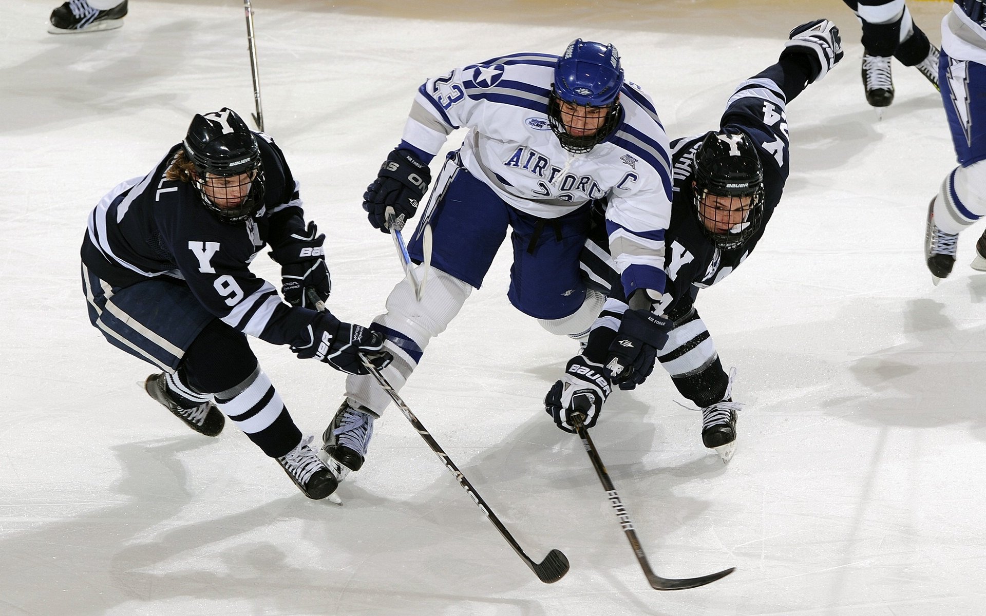 体育新闻中心联合科研机构发布体育数字传播白皮书，体育数字化建设